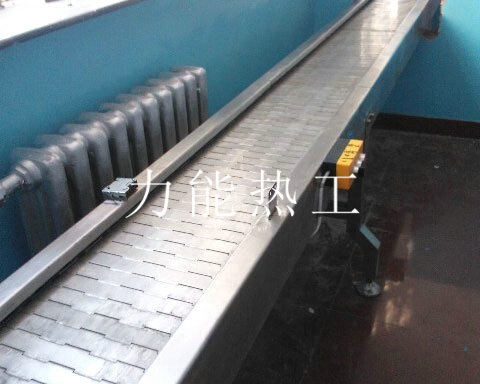 武汉链板输送机