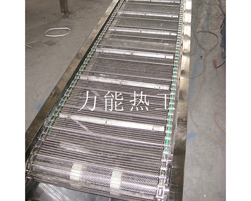 武汉链网输送机