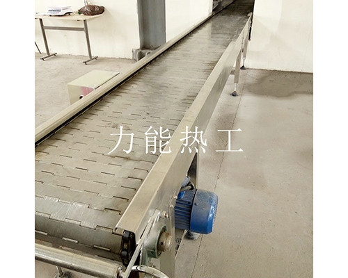 武汉链板输送机