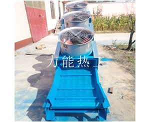 武汉链板提升机