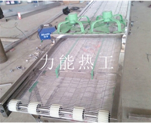 武汉乙字网输送机