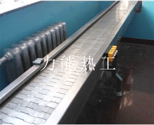 武汉链板输送机