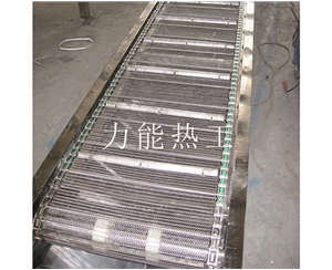 武汉链网输送机