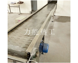 武汉链板输送机