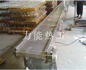 武汉链板输送机